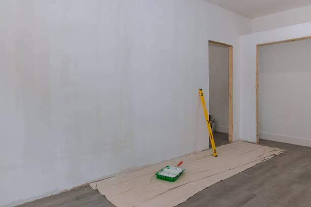 Best Drywall Sanding and Smoothing  in Toledo, IA